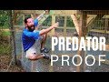 Chicken Coop & Run Build || Part 4 || Predator Proofing!