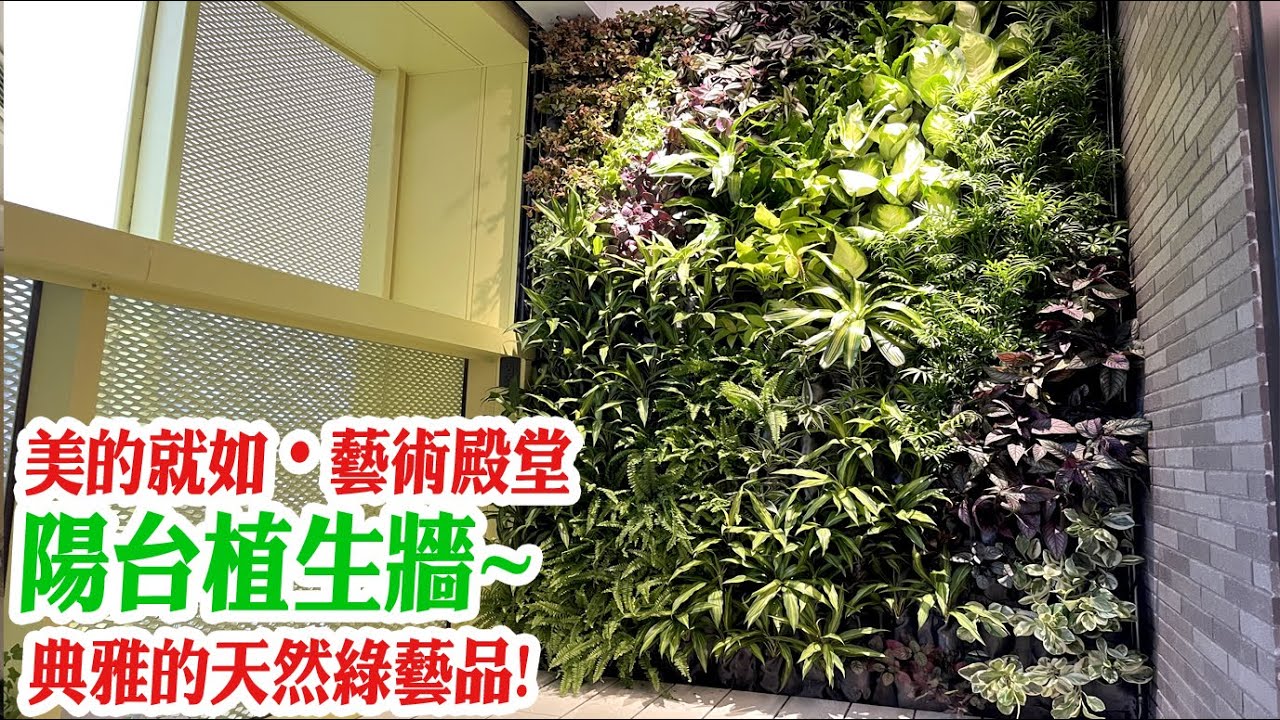 【陽台改造綠化|五股住宅陽台設計】Carol軟裝顧問 戶外植生牆綠牆花牆露台綠化景觀園藝花藝 到府施工規劃 室內軟裝設計陽台人造綠牆植栽牆植物 ...