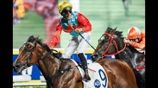 2025 Chairman's Sprint Prize (G1)1200M Sha Tin Hong Kong : Ka Ying Rising (1:07:88)
