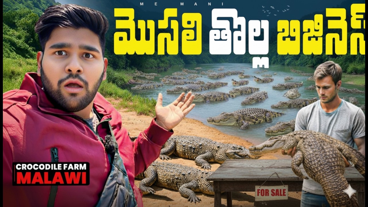 You Won’t Believe This Crocodile Farm in Africa! 😱🐊| Africa Ep-57 | Me Mani