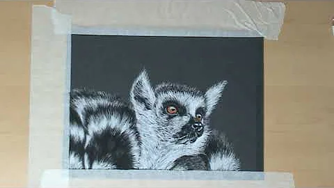 Drawing Timelapse ring-tailed lemur with pastel pe...