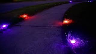 BrizLabs Smart Ground Lights – Halloween Purple & Orange in Action! 🔮🧡
