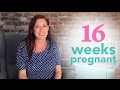16 Weeks Pregnant - Ovia Pregnancy