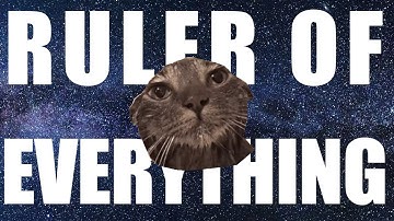 Tally Hall - Ruler of Everything | The Cat Edition