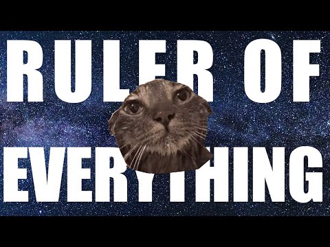 Превью для «Tally Hall - Ruler of Everything | The Cat Edition»