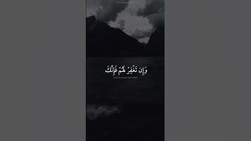 اكتب شي تؤجر عليه 🤍 | القارئ حمزة الفاضل | قرآن كريم