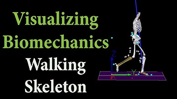 Visualizing Biomechanics | Walking Skeleton | Human Gait Videos