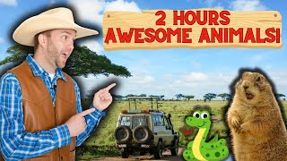 Exotic Animal Adventure for Kids | Meet Awesome Animals with Cowboy Jack