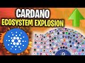 Cardano Ecosystem *EXPLOSION* Imminent! (ADA Price Is Setting Up For A Massive Move)
