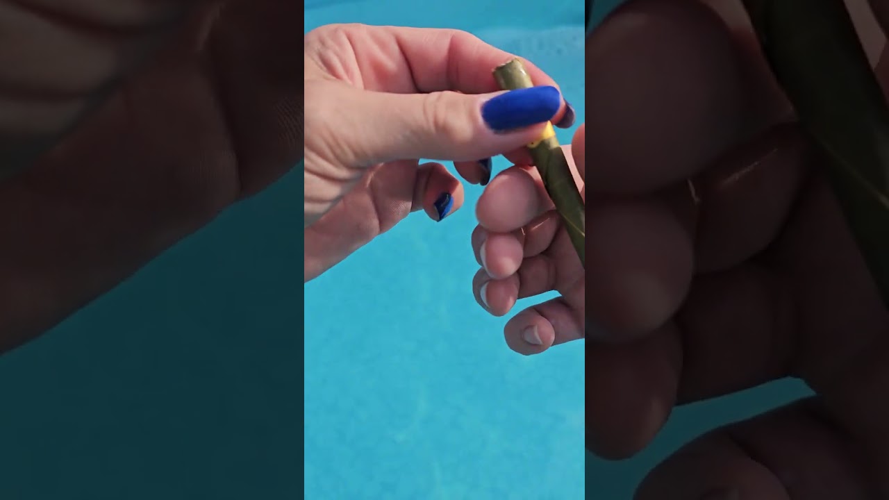 Palm Rollies Pine Drip test run