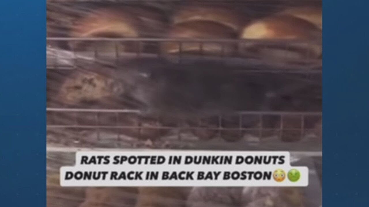 ‘It’s eating’: Dunkin’ restaurant in Boston closed after video of rat goes viral