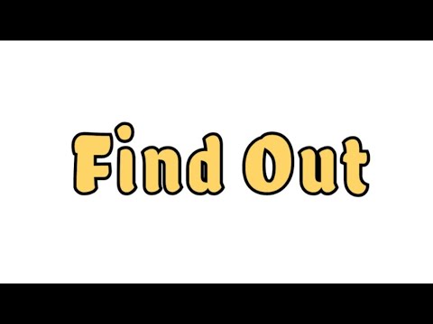 Find Out Discovery - Piggy's Weekend