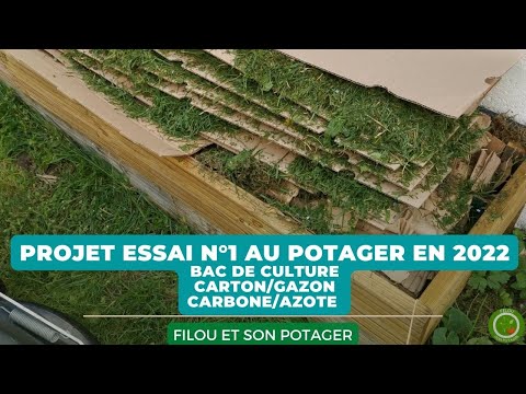 Au potager en 2022 projet  essai n°1  bac de culture carton/gazon, carbone/azote