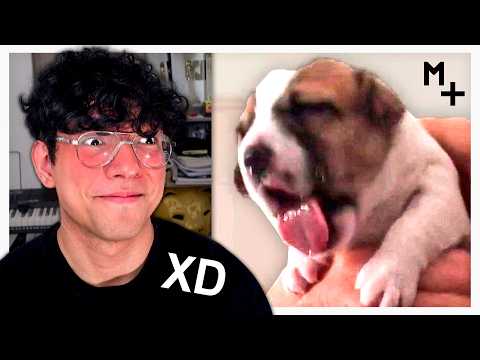 SI TE RÍES, SE ACABA EL VIDEO 3 🤣💥