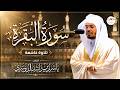 🔴 بث مباشر | سورة البقرة كاملة 🌿 تلاوة خاشعة بصوت ياسر الدوسري | راحة وطمأنينة وبركة في البيت 24/7