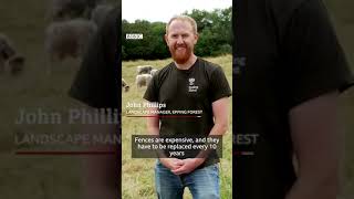 Virtual fence control by GPS tracking. new ways of gracing animal agribusiness.  cows monitor