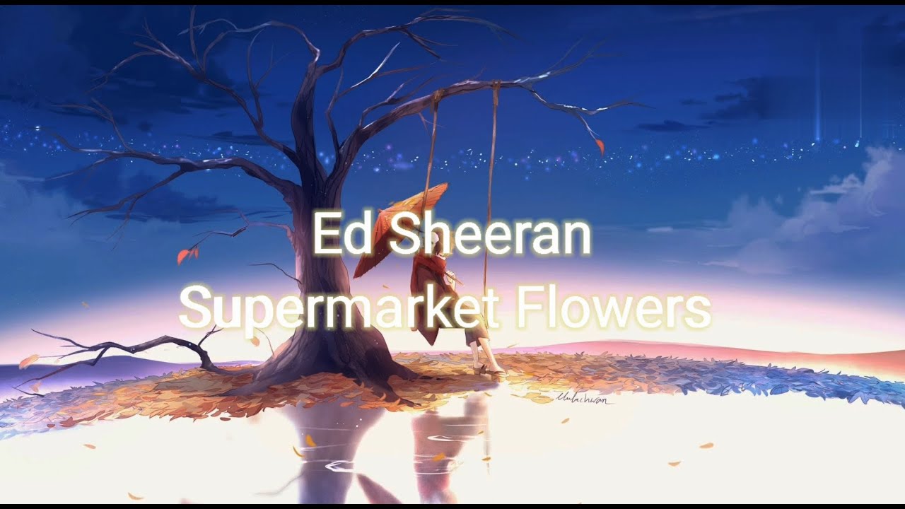 Supermarket Flowers (Ed Sheeran) (Lyrics) YouTube