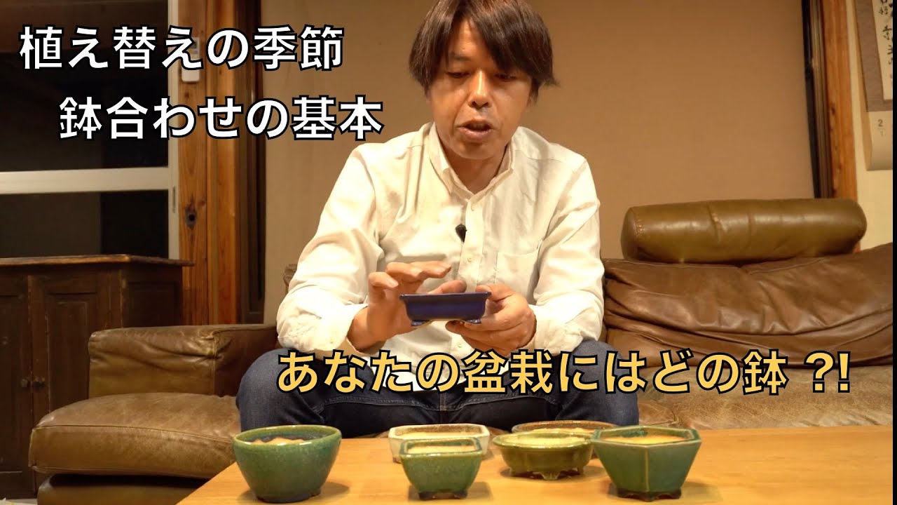 4k 盆栽の植え替えシーズン到来 鉢合わせのコツ 盆栽 初心者 Youtube