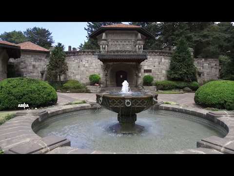 Bosque 6060 De Abilia