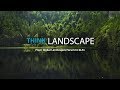 Think landscape  from global landscapes forum to glfx