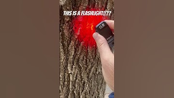 This TINY Flashlight does it ALL! #everydaycarry #flashlight