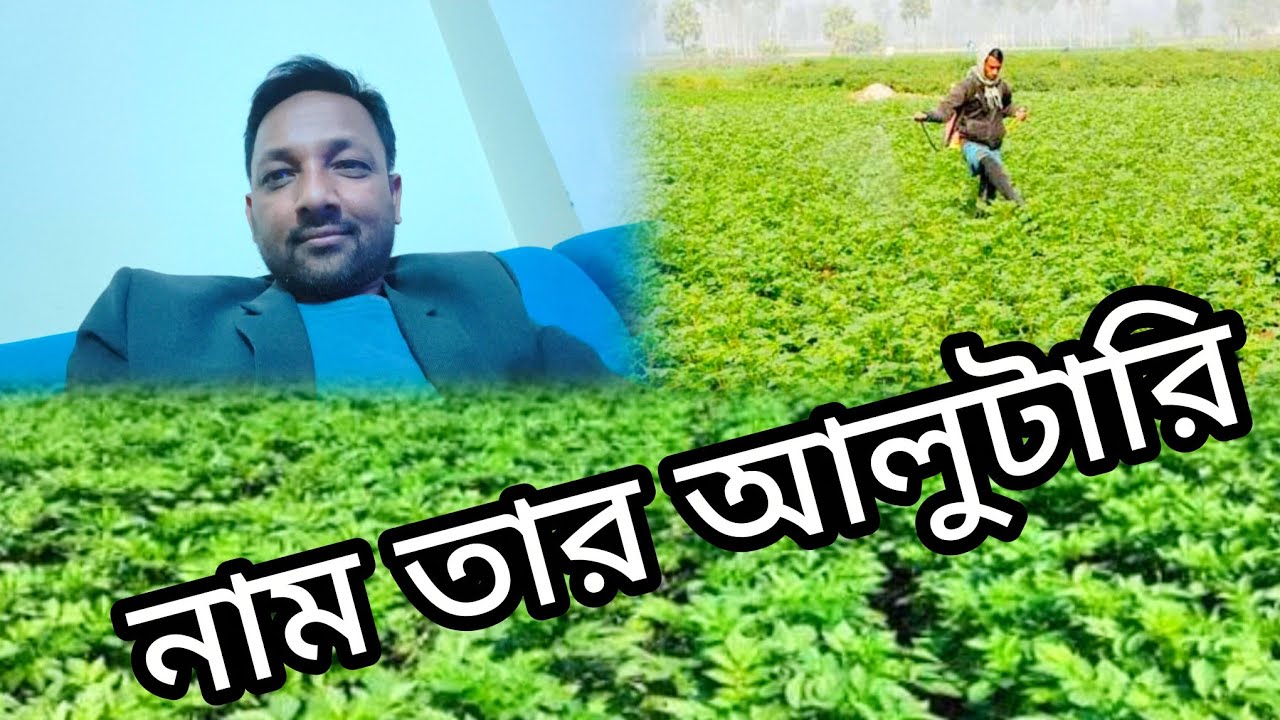 #আলুটারি নাম যে জন্য হলো #source_of_food #food #foodfactbychayonkabir #tipsforhealth #foodandhealth