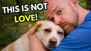 11 Things You Do That Your Dog Actually Hates (backed By Science)