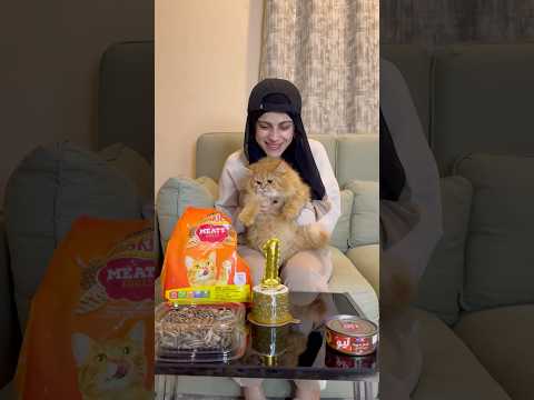 عيدميلاد القطه ام سيف ونانو