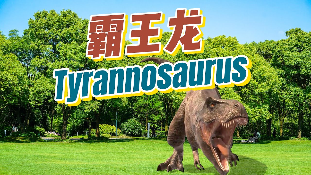 Rex China 【学中文】動物 | 霸王龙|Tyrannosaurus Rex in the Chinese language|中文加油站GG ...