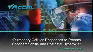 Pulmonary Cellular Responses to Prenatal Chorioamnionitis and Postnatal Hyperoxia