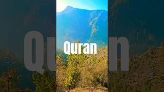 surah raad ayat 15 urdu translation #short #quranqoutes #viralshorts #motivational #nature