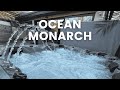 Ocean Monarch Elite