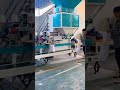 No More Inaccurate Weighing! Precision Granule Packing Machine #automatic #machine