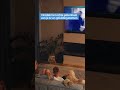 De Kracht van Juiste Beeld- en Geluidsafstelling