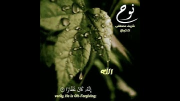 تلاوة رائعة جدا ﴿فَقُلتُ استَغفِروا رَبَّكُم إِنَّهُ كانَ غَفّارًا﴾ [نوح: ١٠]