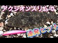 サーフでヒラメ釣り！！次回予告❗がヤバすぎて！ヤバすぎて！この動画が…しょぼくなりました(笑)