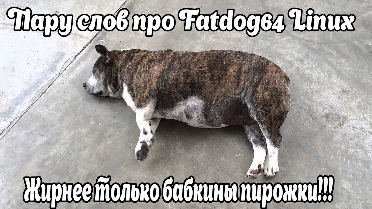 Пару слов про Fatdog64 Linux