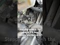 Gear linkage Renault Clio 3.