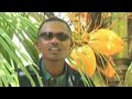 Delphin Taratasy 