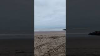 Mar del plata playa Bristol #mardelplata #beach #amanecer #travel #playa