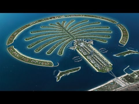 A 2000 Gallon Reef Tank on Dubai’s Palm Island