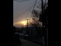 【弾き語り】嘘なき / マカロニえんぴつ cover