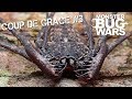 MONSTER BUG WARS | Coup De Grace Collection #3