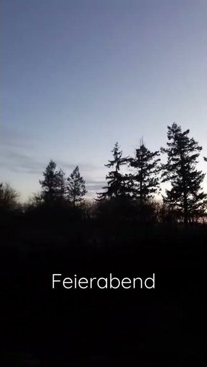 Feierabend - ich kann noch nicht recht fassen, dass wir hier bald wohnen werden 🌲🌲🌲