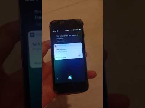 Asking Siri To Translate Siri Shorts