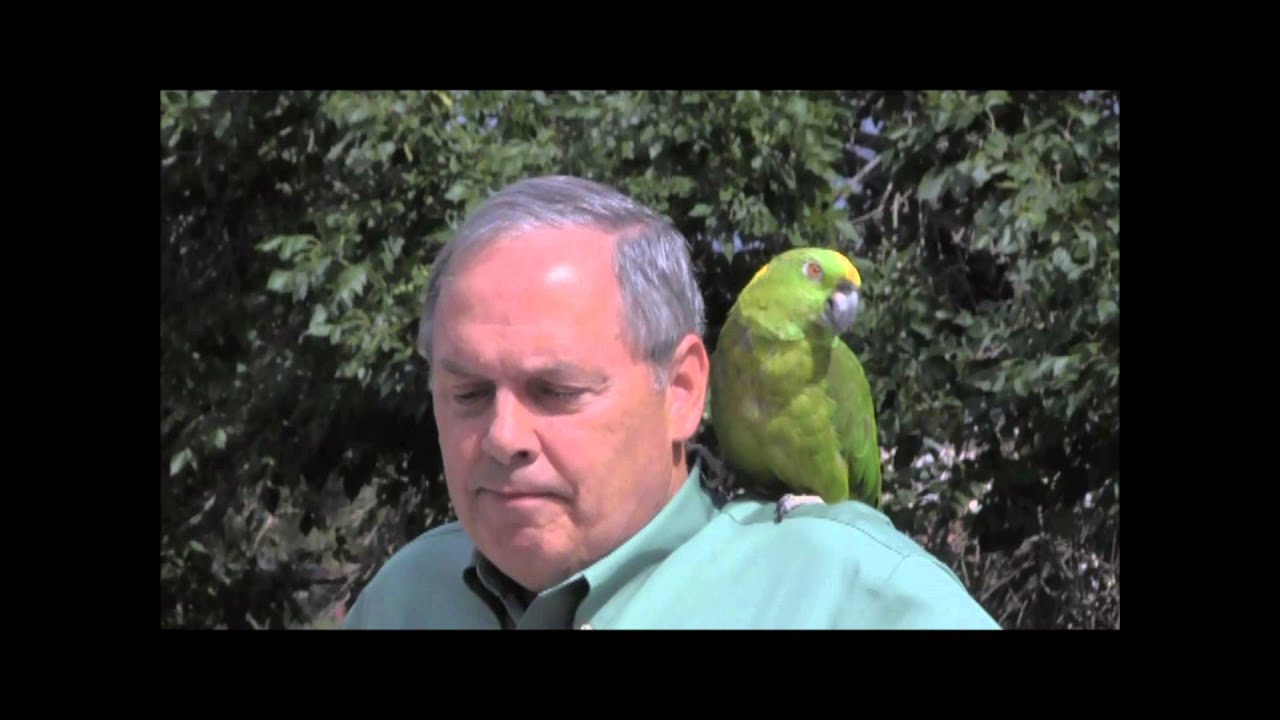 On Golden and the Chamber of Commerce