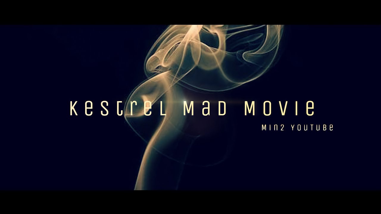 [좀비고] 랭커 “케스” 매드무비 #Final