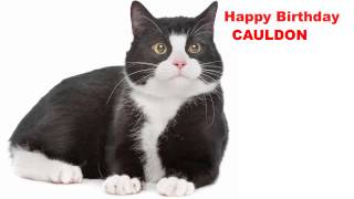 Cauldon  Cats Gatos - Happy Birthday