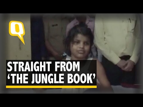The Quint: Meet