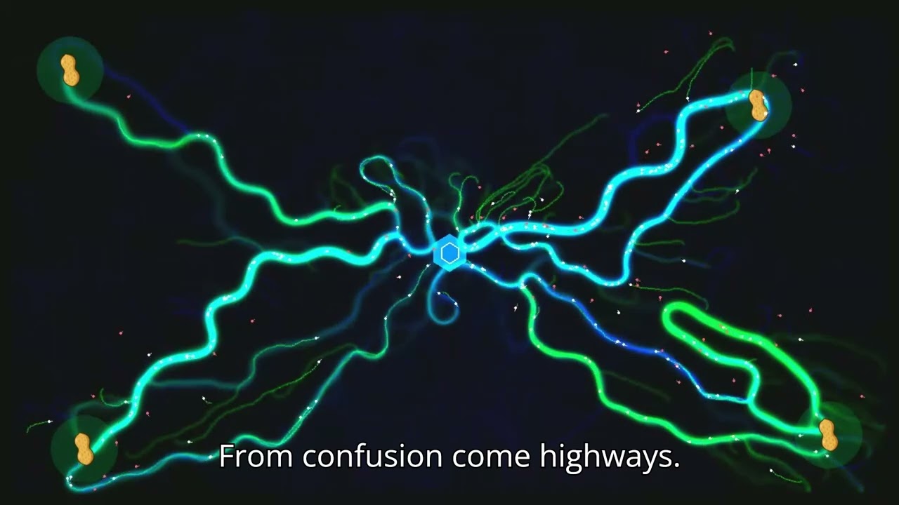 Emergent Intelligence: The Hidden Mind of Ant Colonies